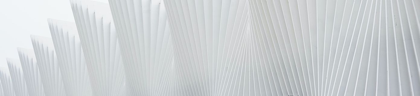luca-bravo-alS7ewQ41M8-unsplash luca-bravo-alS7ewQ41M8-unsplash