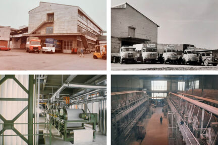 Raster Geschichte Bilder